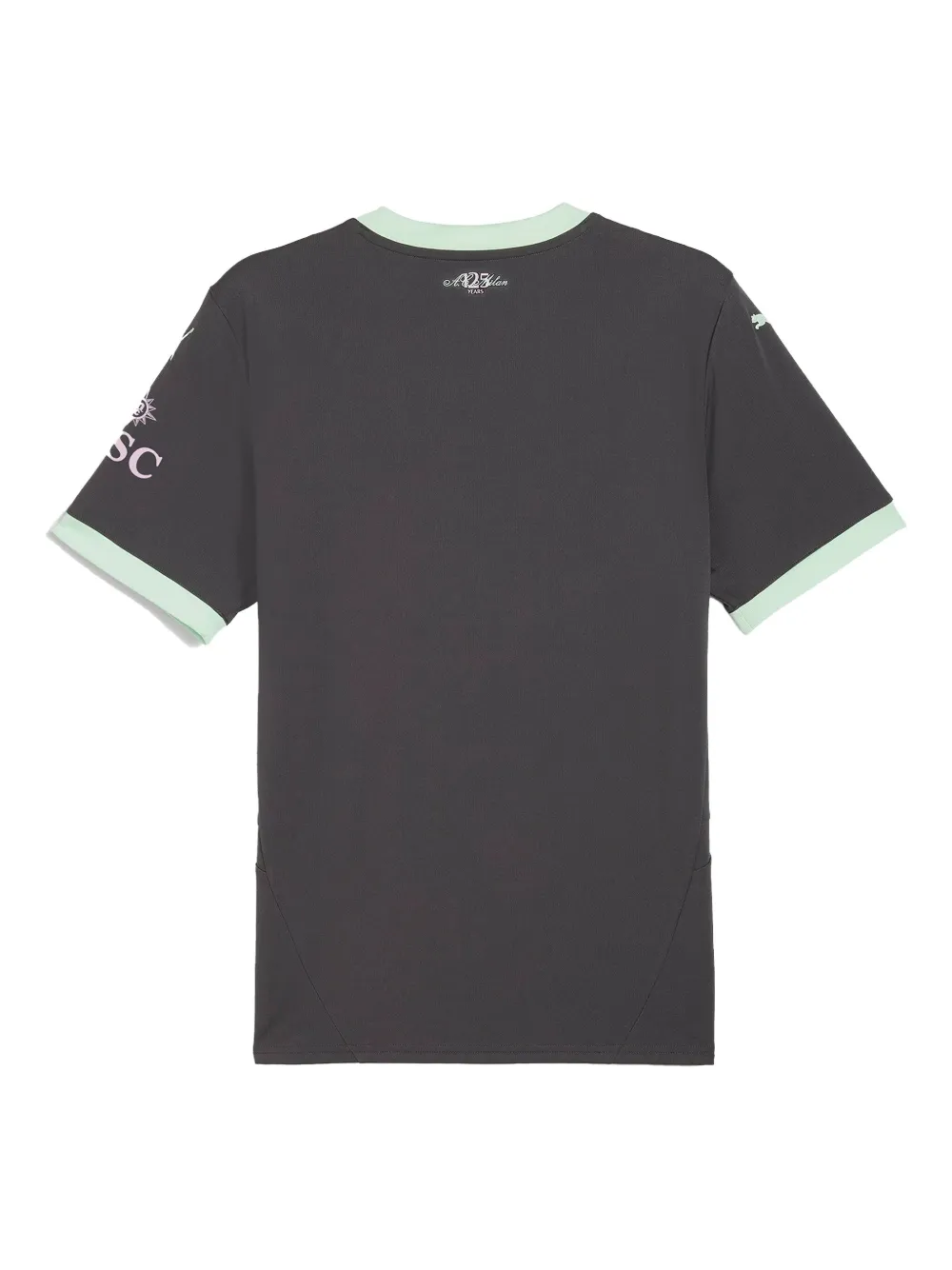 Puma Ac Milan 24/25 T-shirt In Gray