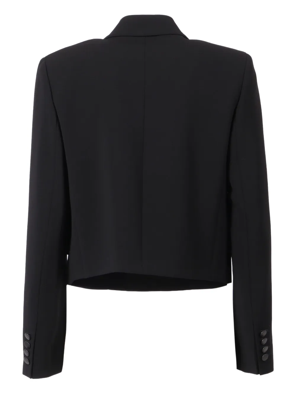 Max Mara Caprera button jacket | Chamarras ajustadas | Image 2