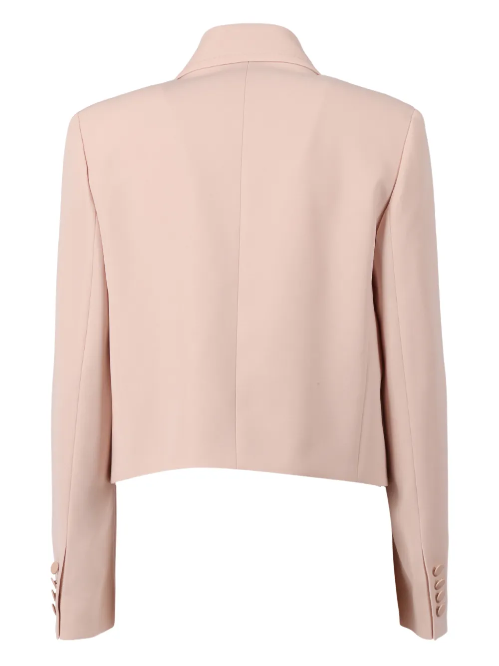 Max Mara Caprera double-breasted jacket | Chamarras ajustadas | Image 2