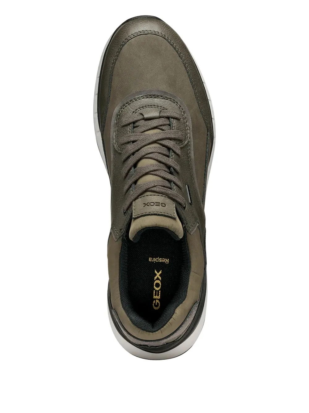 Geox Lace-up Panelled Sneakers In Green