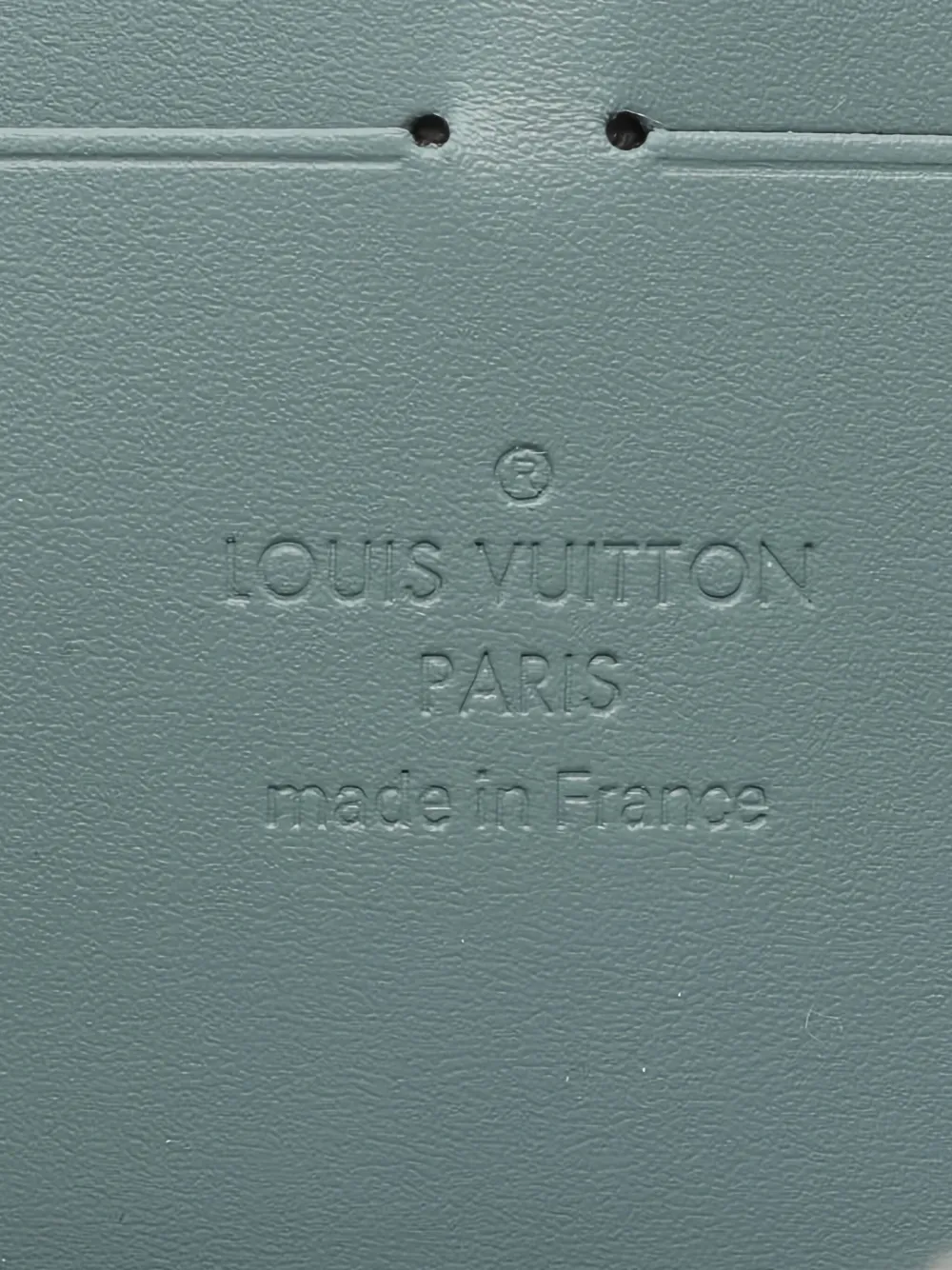 Louis Vuitton Pre-Owned Misty Lake portemonnee Blauw