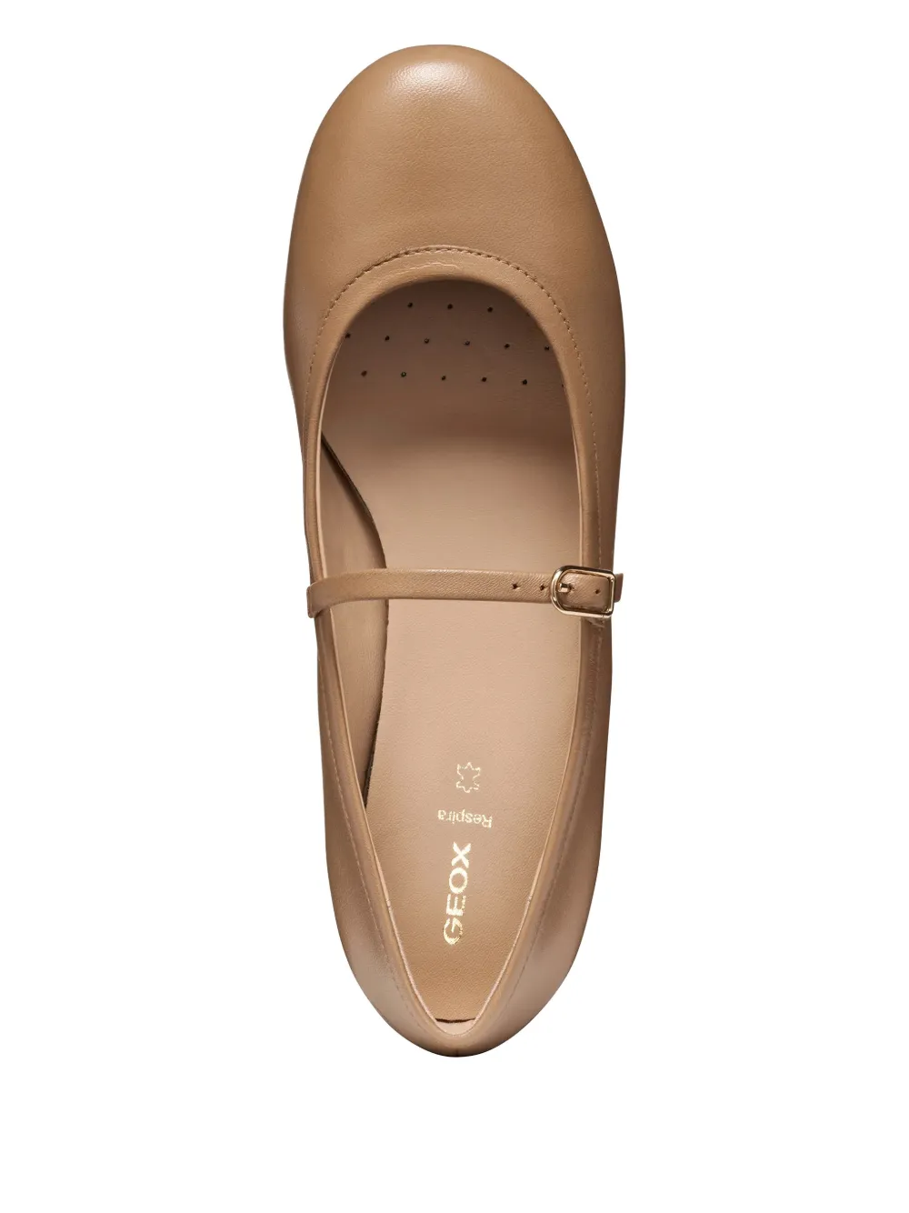 Geox Buckle-fastening Leather Ballet Flats In Brown