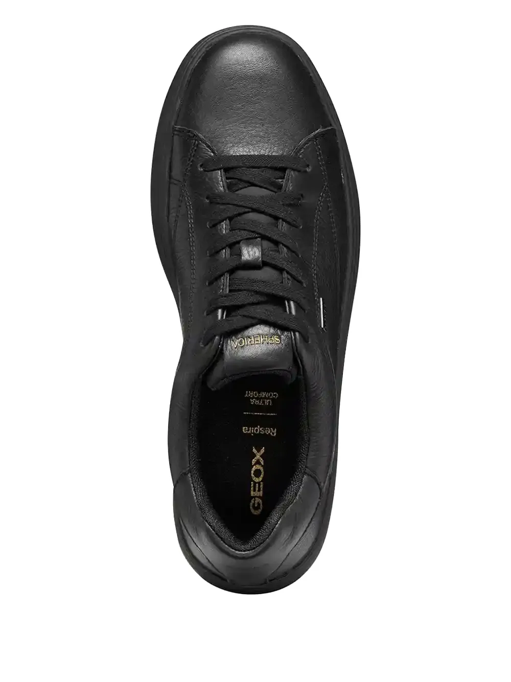 Geox Leather Logo-plaque Sneakers In Black