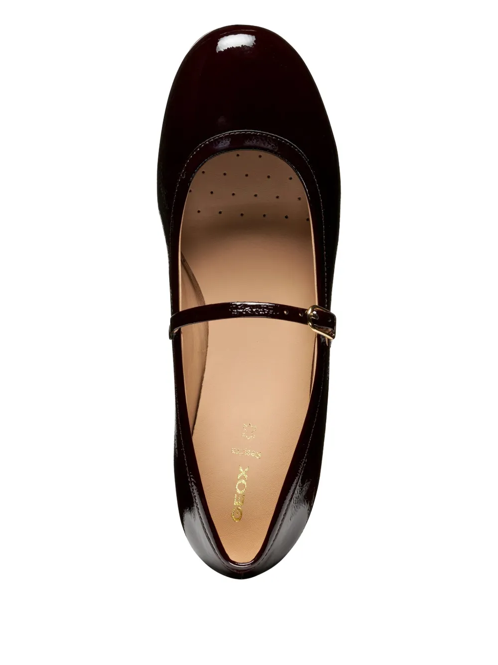 Geox Palmaria Buckle Strap Ballet Flats In Black