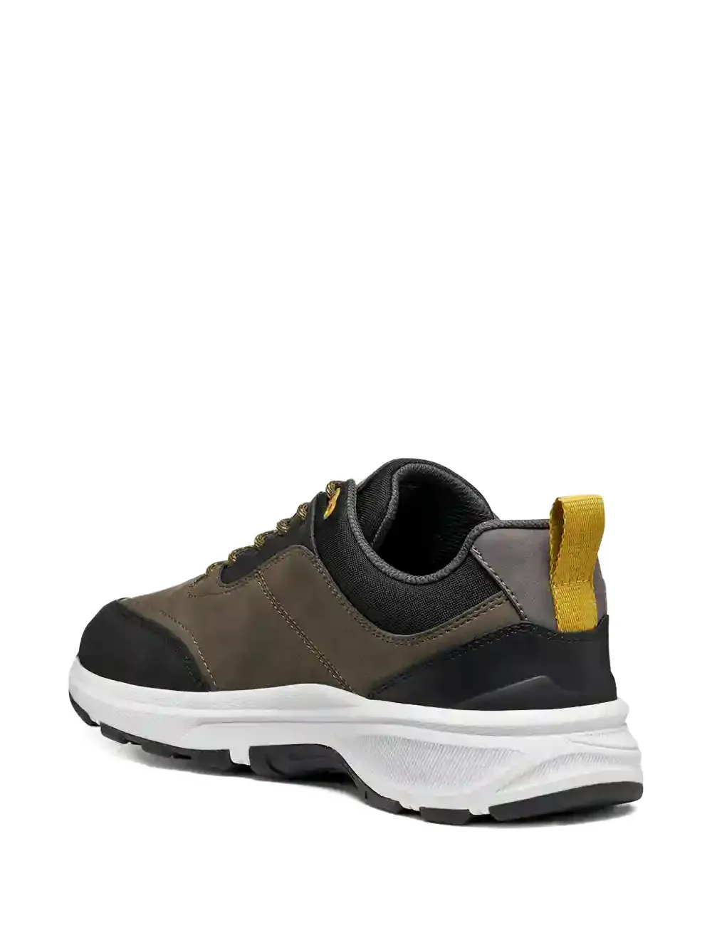 Geox Senales Abx Sneakers In Multi