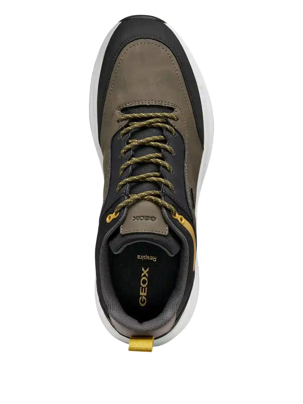 Geox Senales Abx Sneakers In Multi