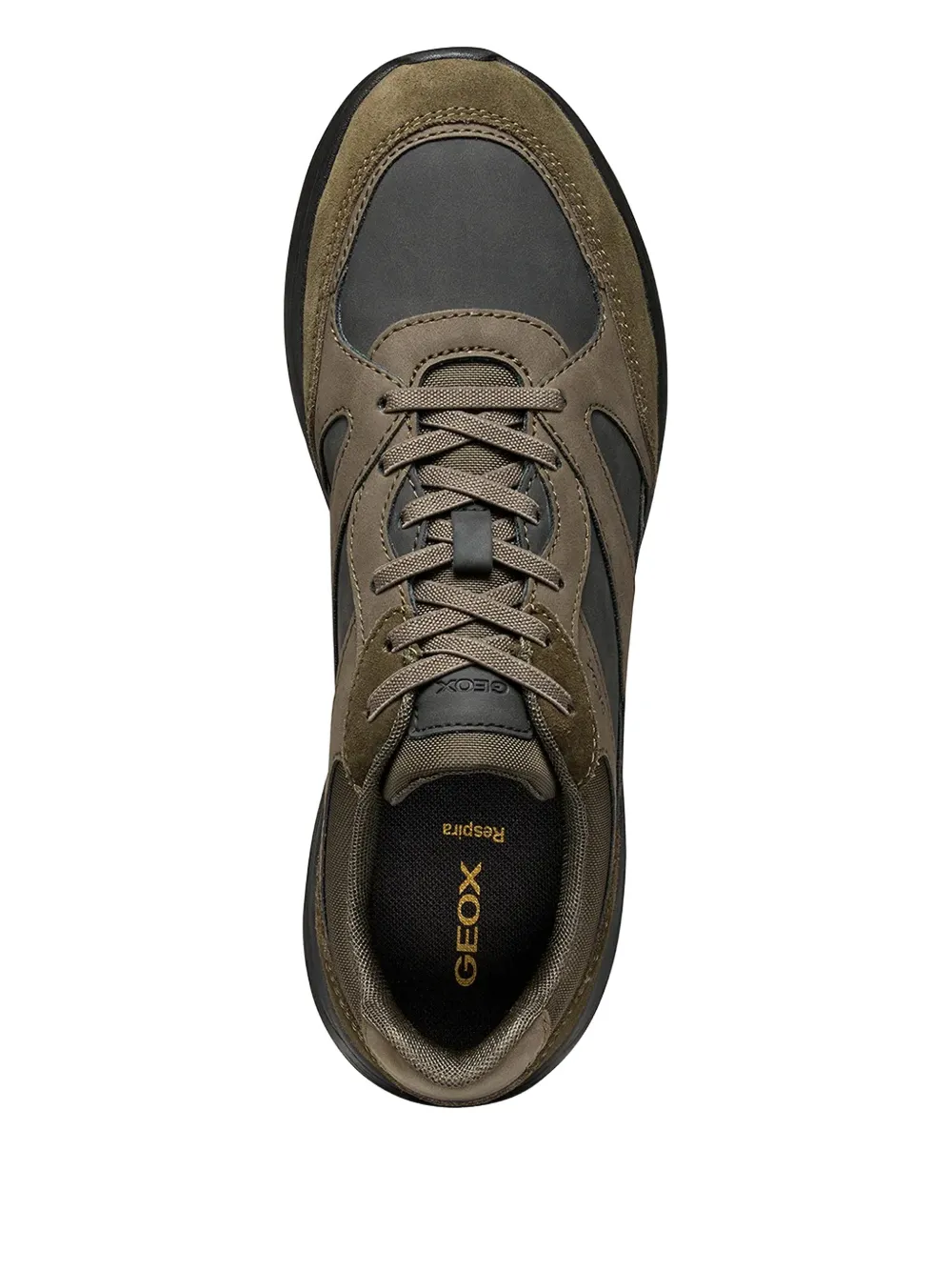Geox Logo-detail Lace-up Sneakers In Brown