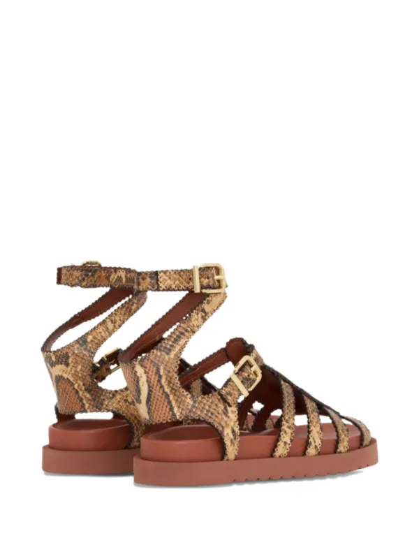 ZIMMERMANN Goldie Gladiator Buckle Sandals | Brown | FARFETCH