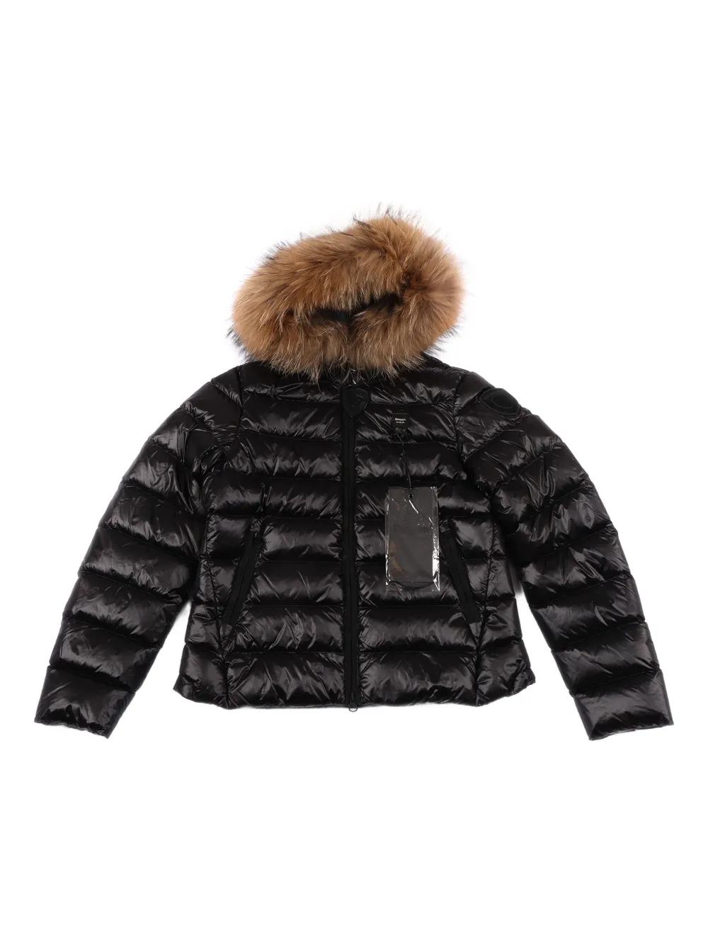 Blauer Arcadia hooded padded jacket | Black | Image 1