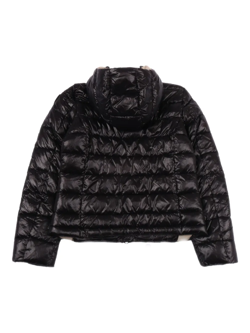 Blauer Caroll coat | Padded Coats | Image 2