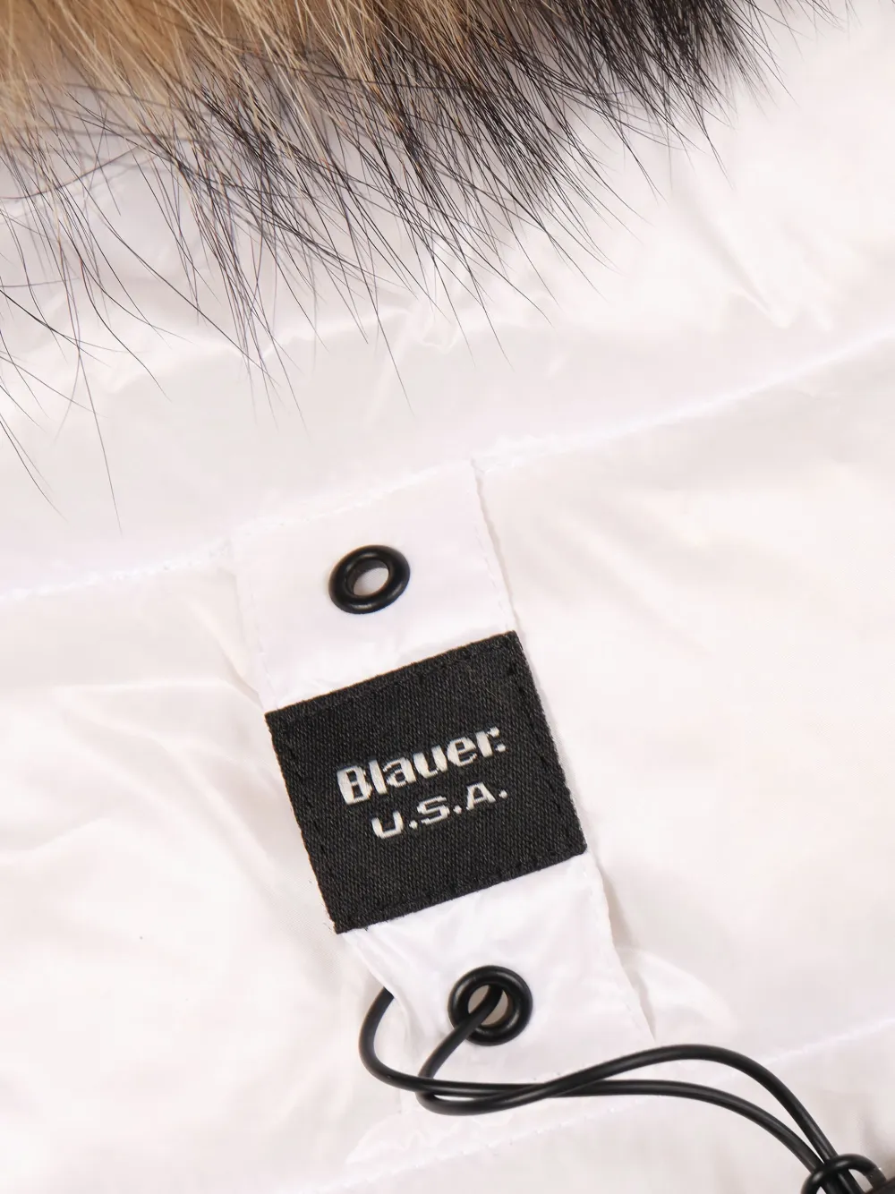 Blauer Arcadia gewatteerd jack Wit