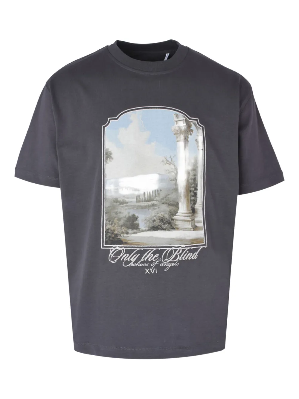 Only The Blind Cotton T-shirt In Gray