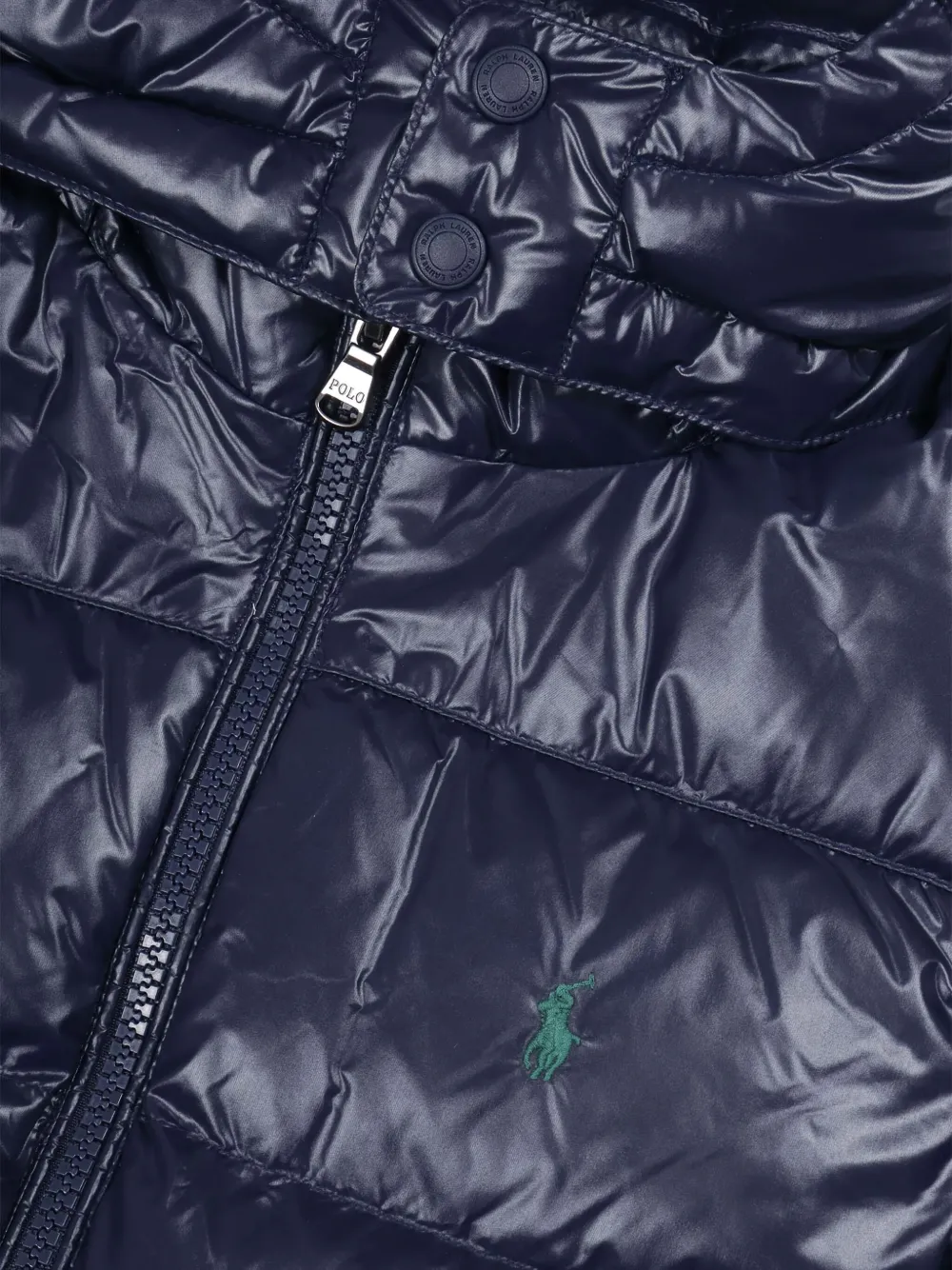 Polo Ralph Lauren Padded Hooded Jacket In Blue