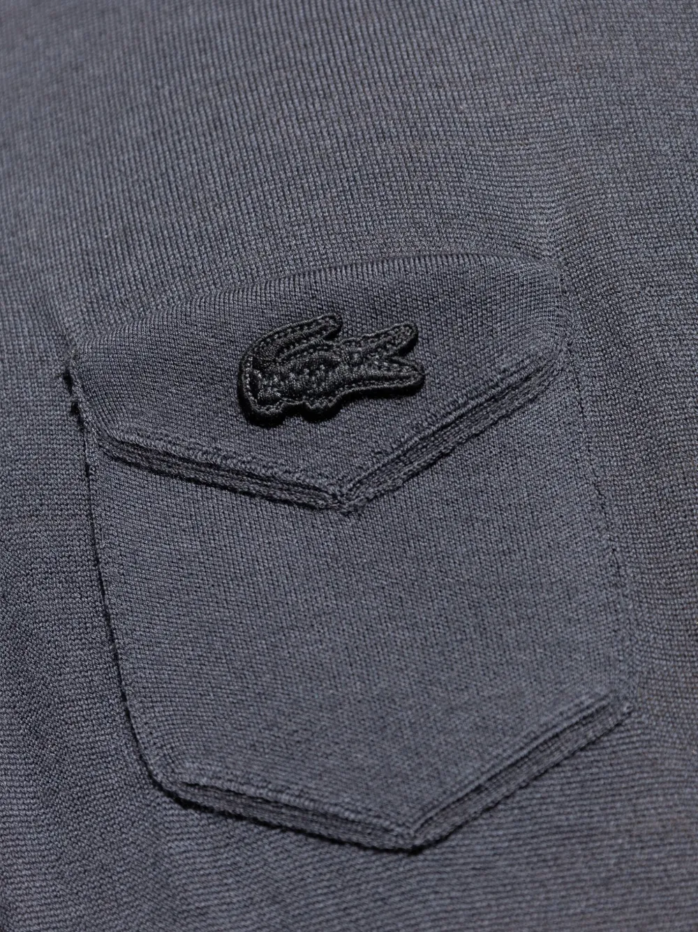 Lacoste Poloshirt met geborduurd logo Blauw