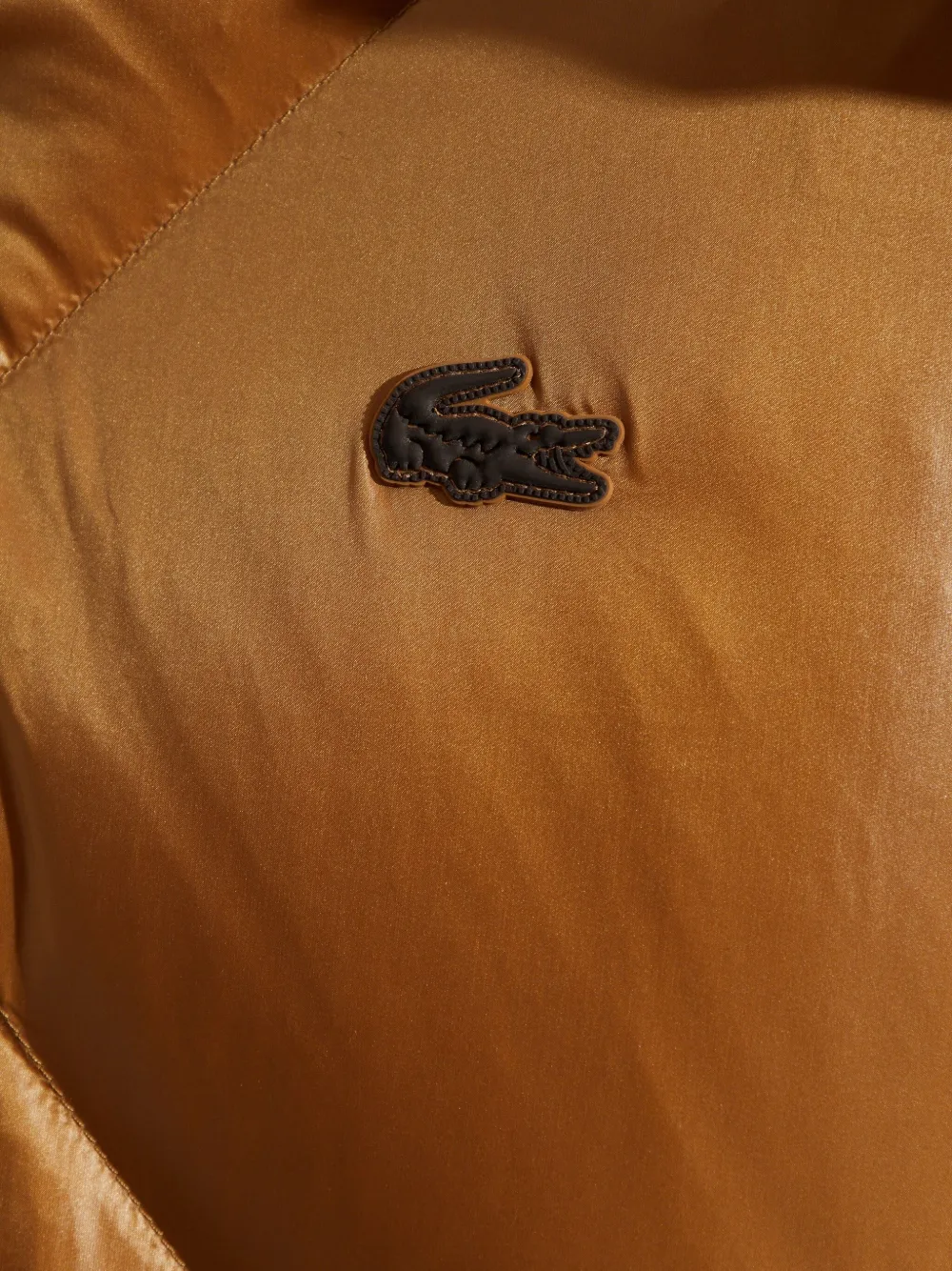 Lacoste Gevoerd jack met capuchon Bruin