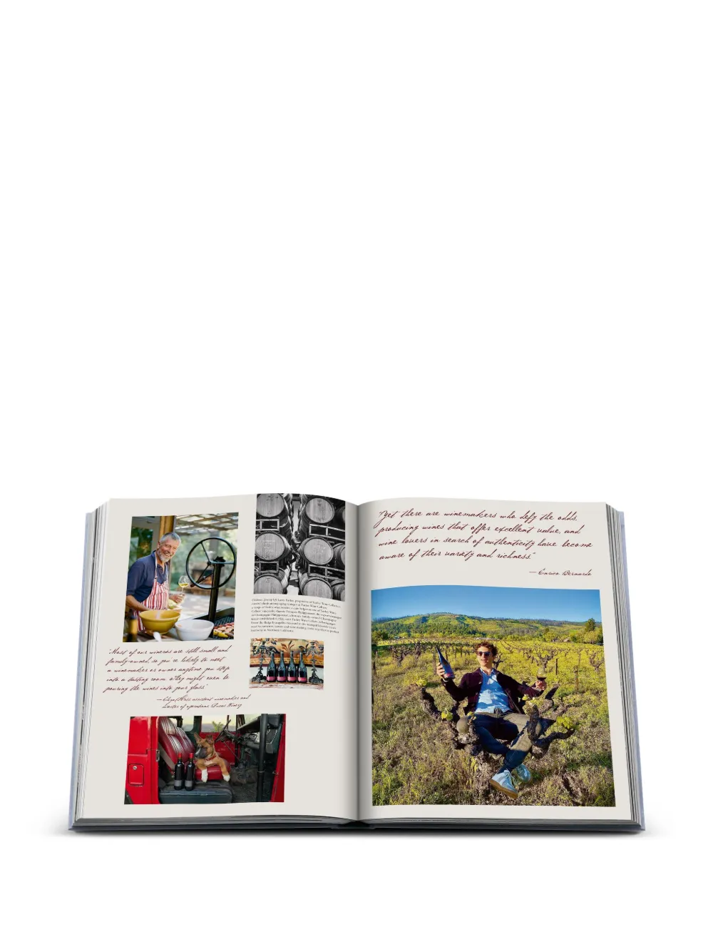 Wine & Travel United States Of America