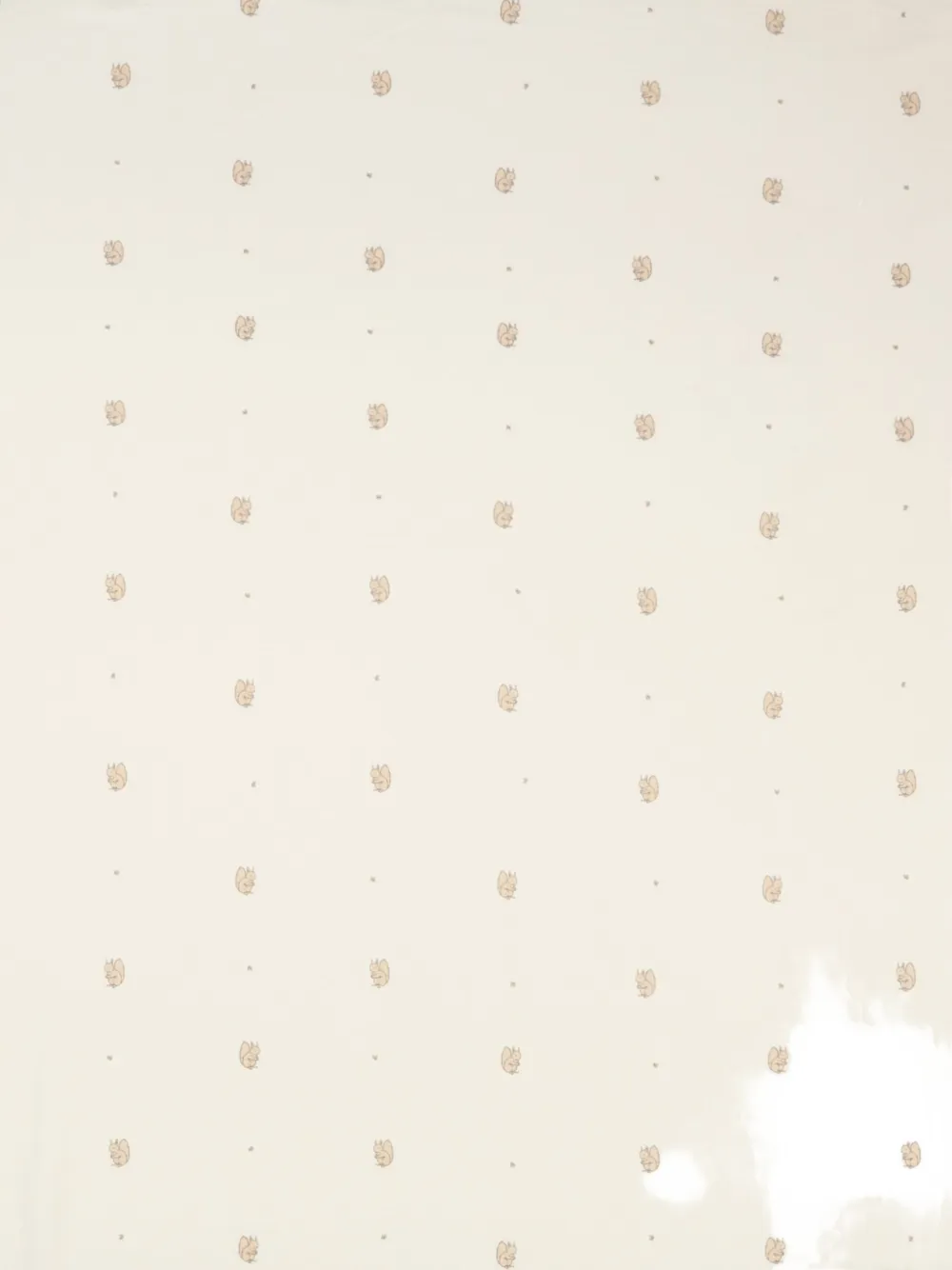 Bamboom Squirrel-print Blanket In Neutral