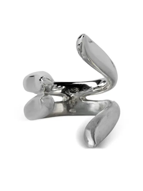 Parts of Four anillo Tatius