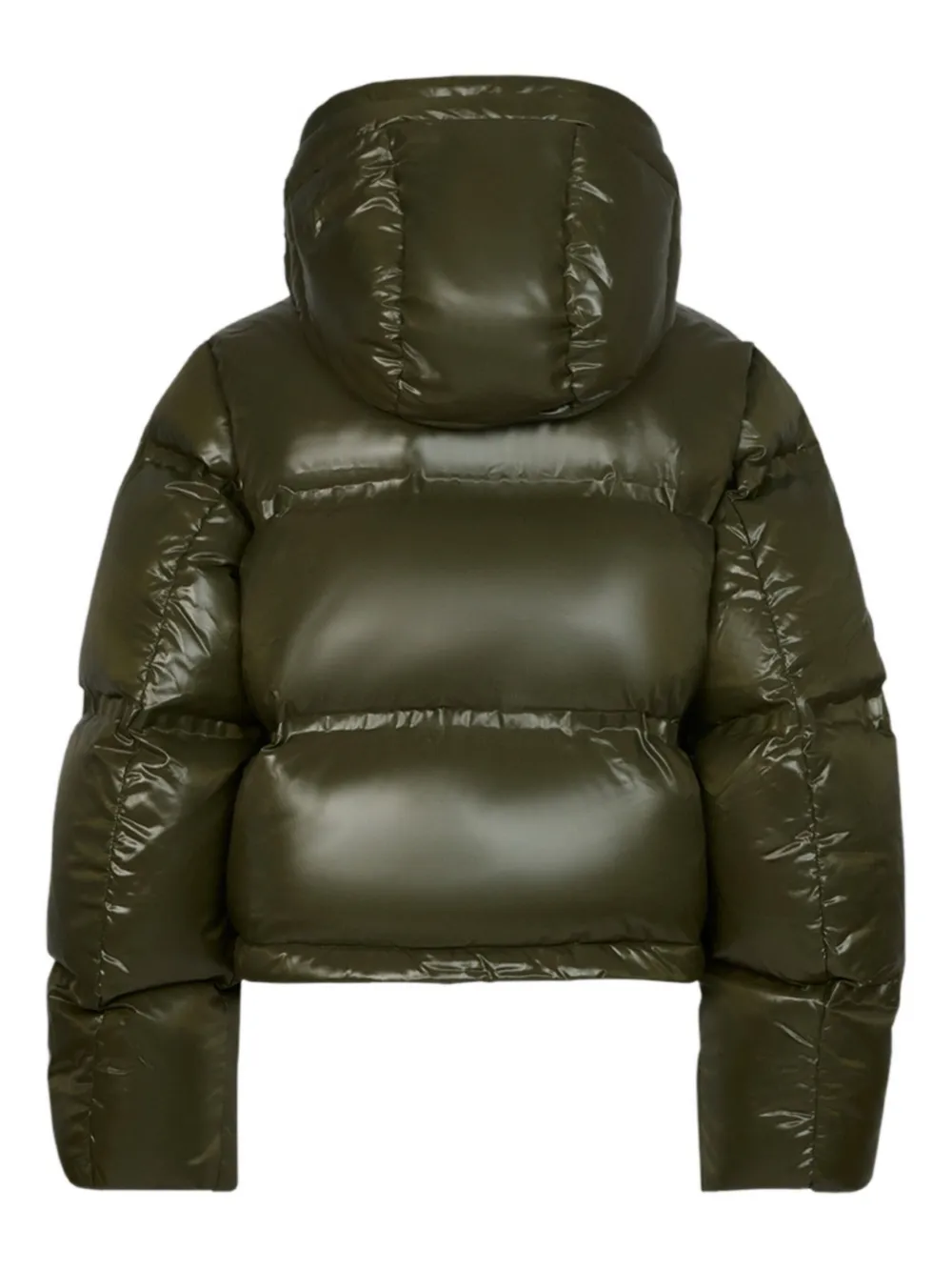 Snowbird puffer vest 