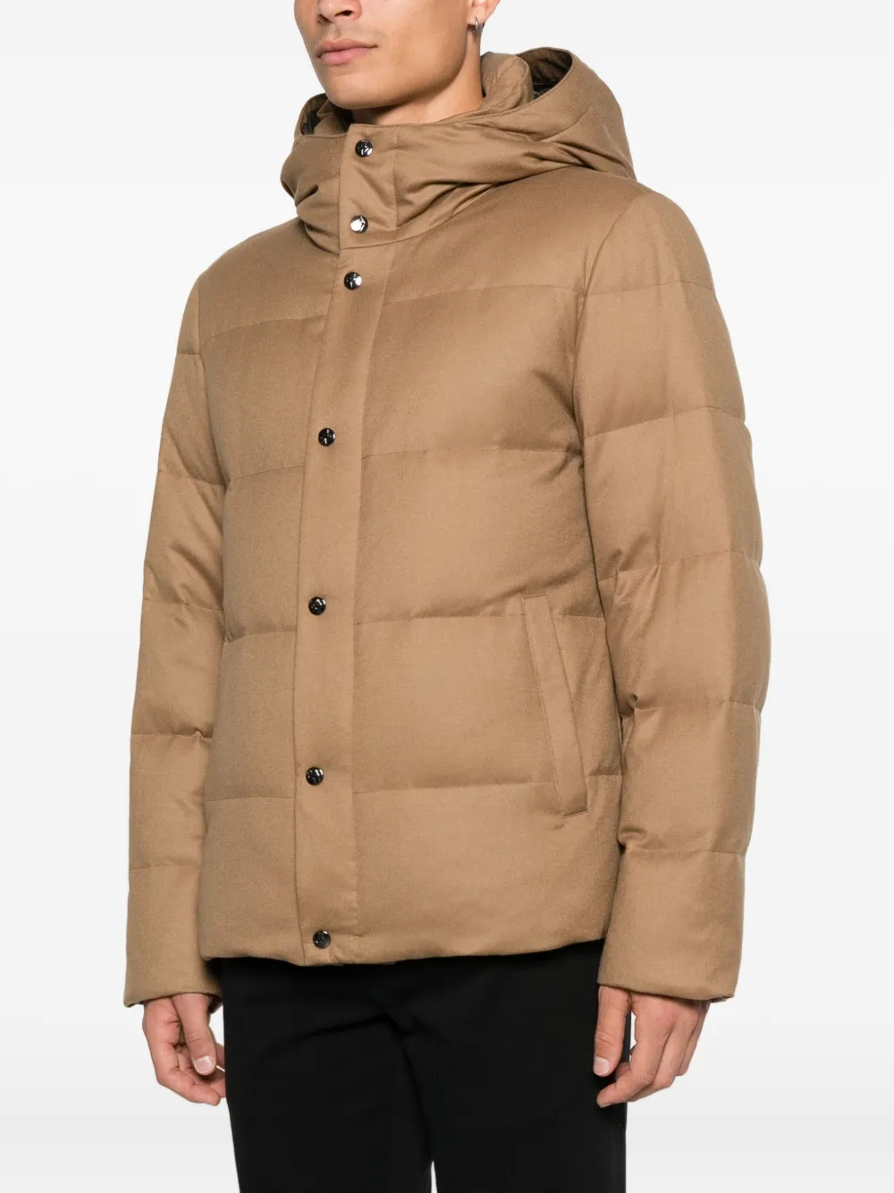 Montecore Jack van scheerwol Bruin