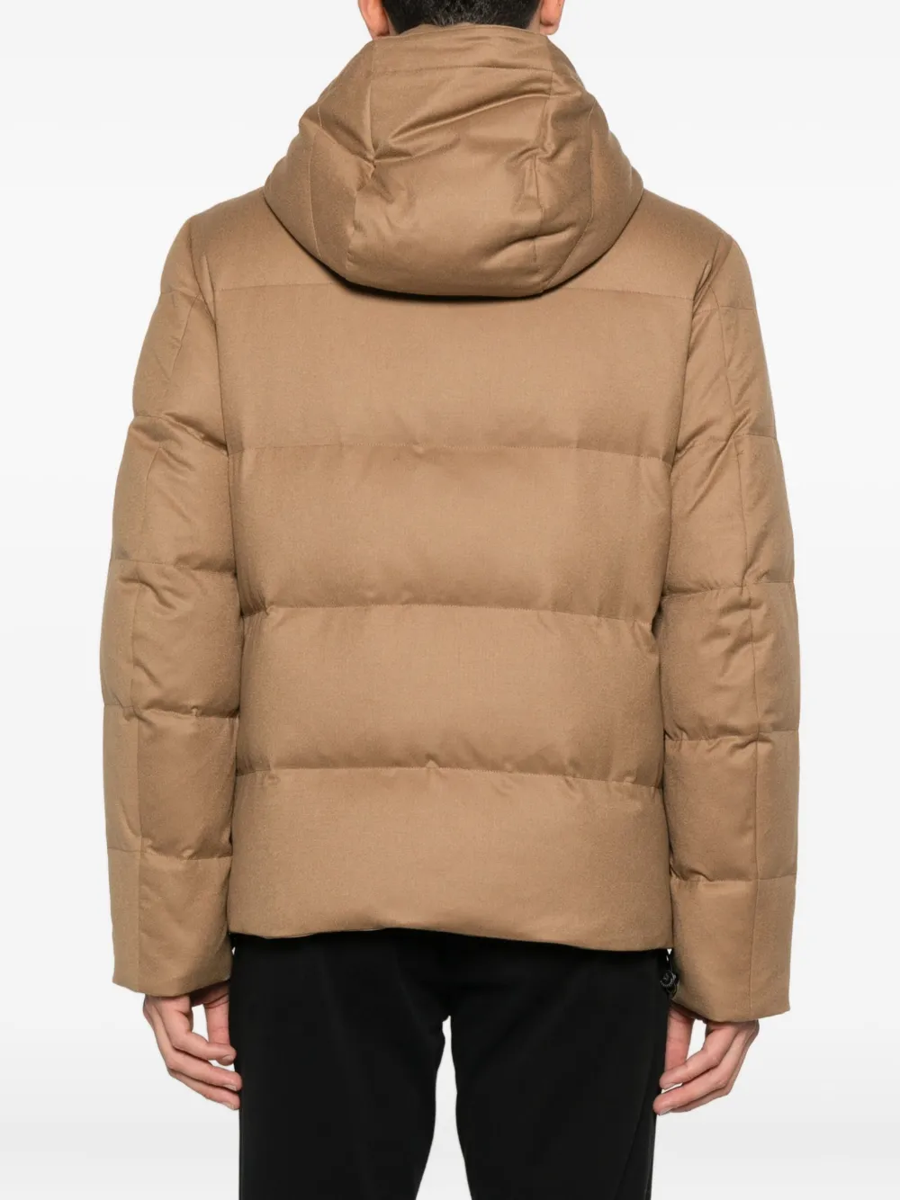 Montecore Jack van scheerwol Bruin