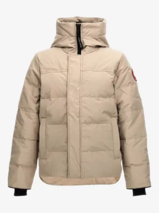 Canada Goose