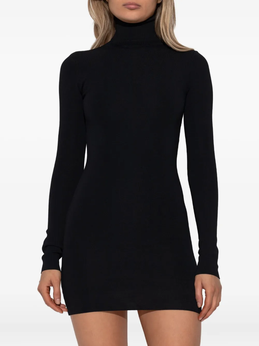 Entire Studios Roll-neck Long-sleeve Mini Dress In Blue