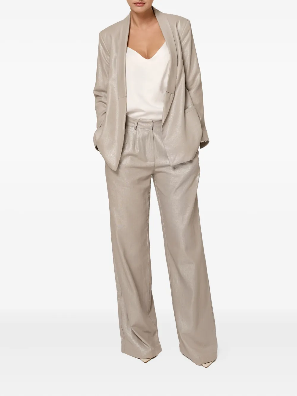 Amalin Blair Pleated Trousers In Gray