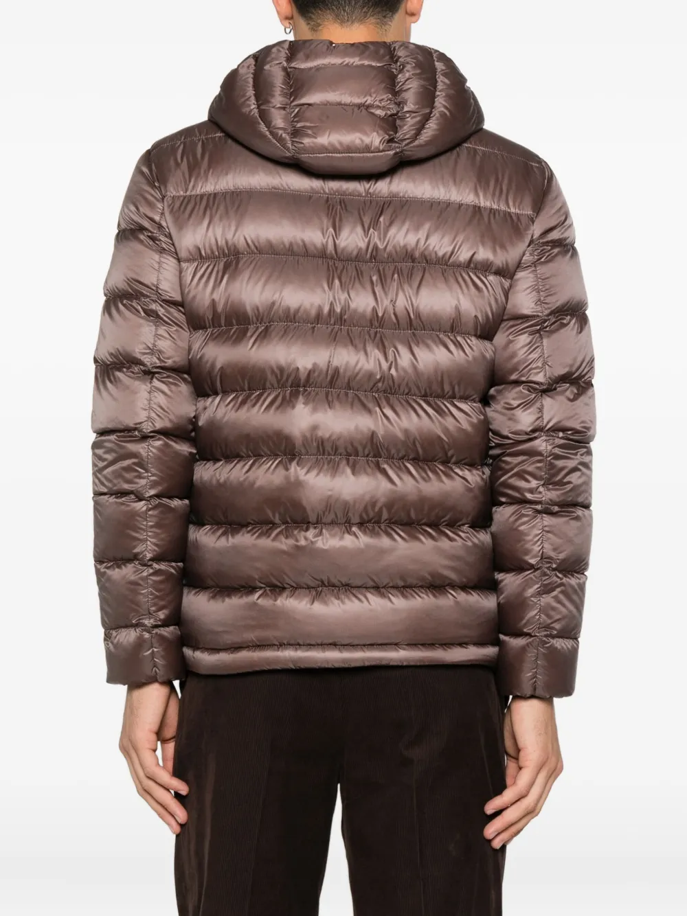 Herno Gewatteerd jack met capuchon Bruin