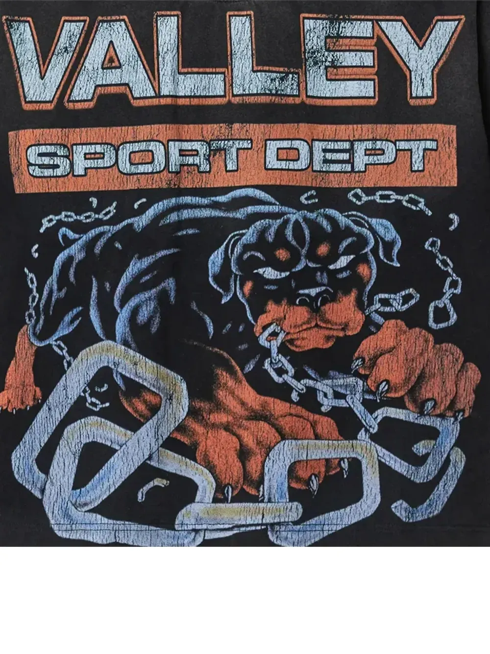 Vale Big Dog Sport Long-sleeves T-shirt In Black