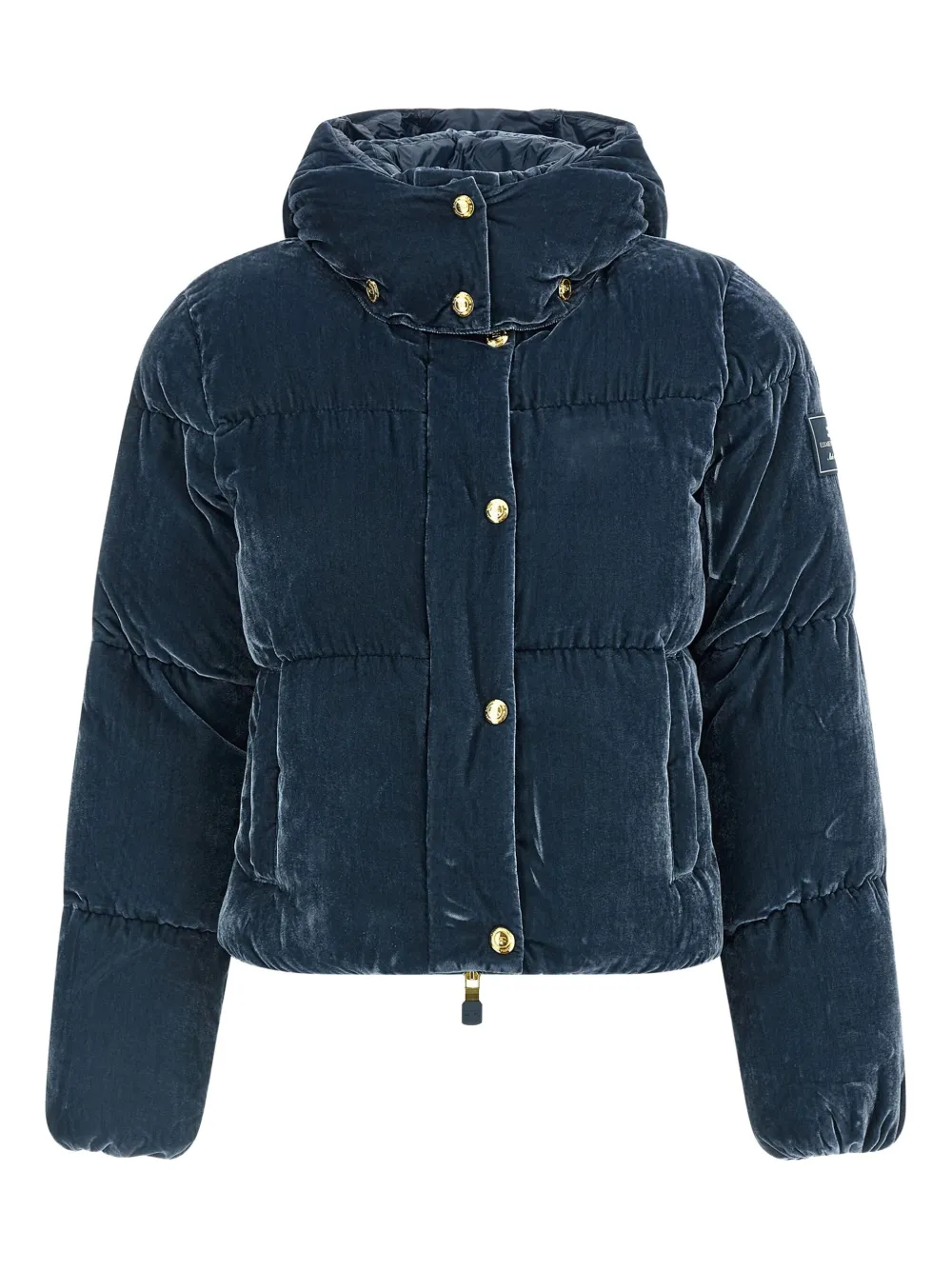 Elisabetta Franchi Velvet Down Jacket In Blue