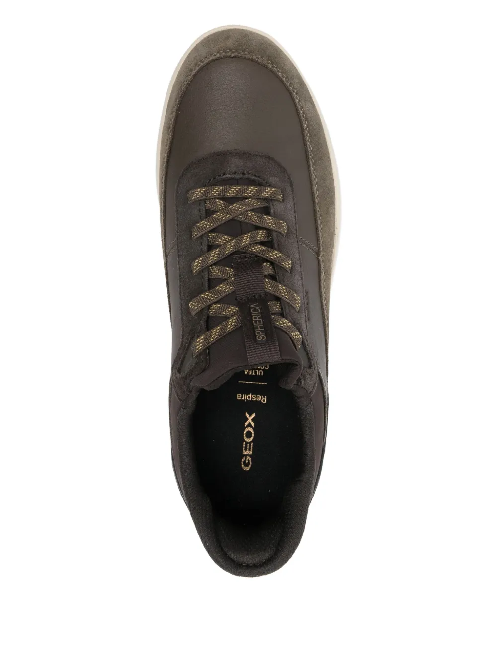 Geox Spherica Plus Sneakers In Green