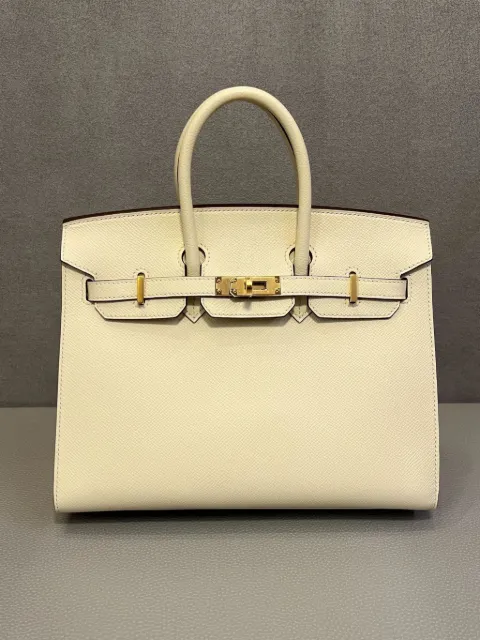 Hermès Pre-Owned 2023 25 Birkin handbag