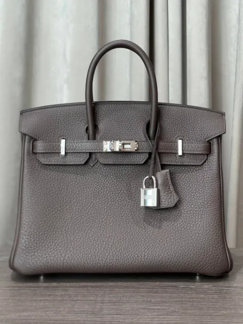 Hermès Pre-Owned 2025 Birkin 25 handbag