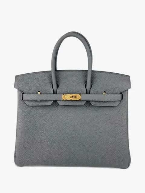Hermès Pre-Owned 2024 버킨 25 토고 골드 하드웨어 토트 백