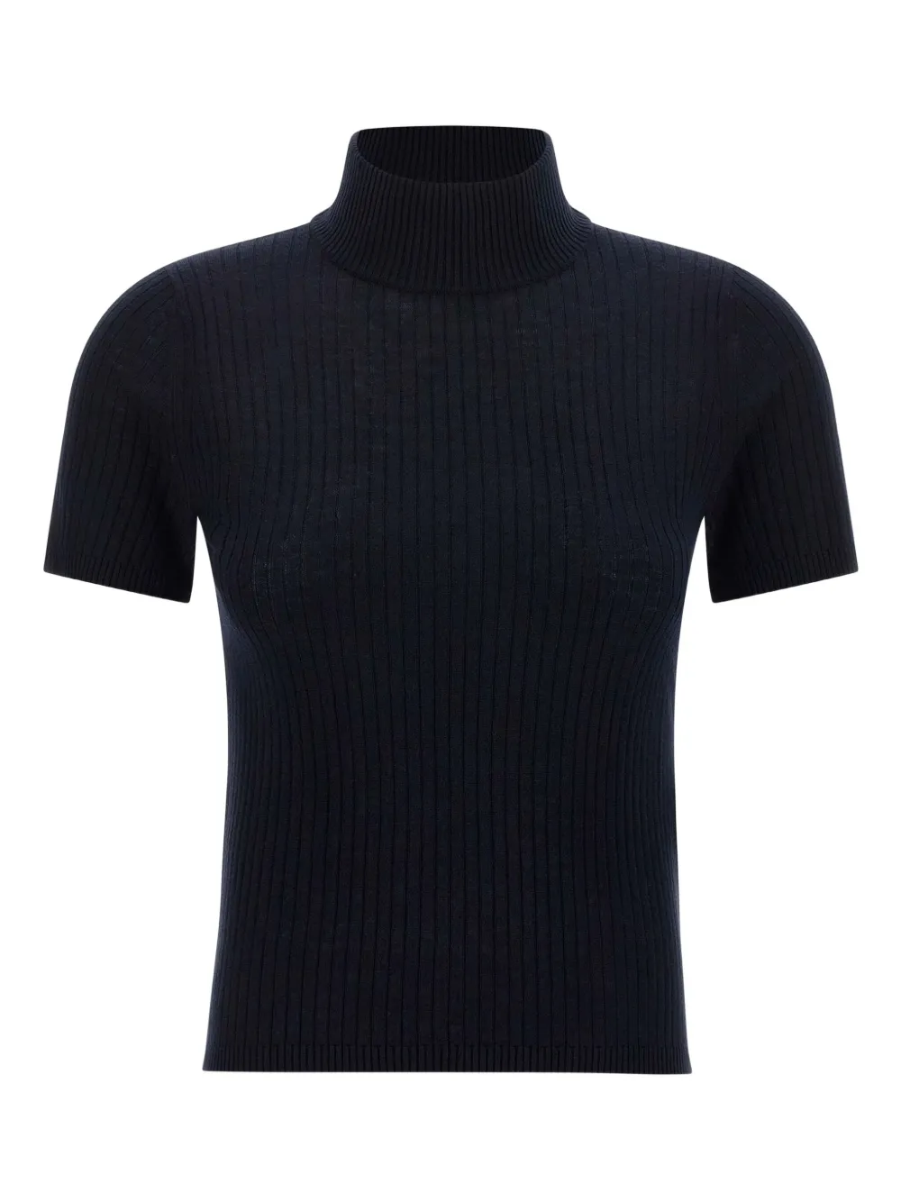 Max Mara Janagy ribbed high-neck sweater | Blue | Image 1