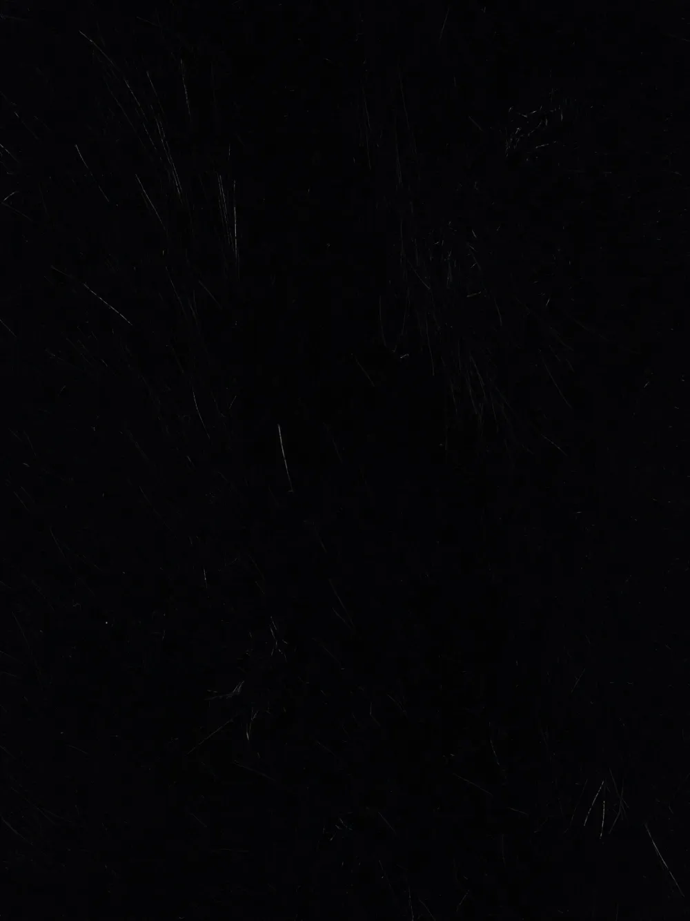 Vaquera Faux-fur Scarf In Black