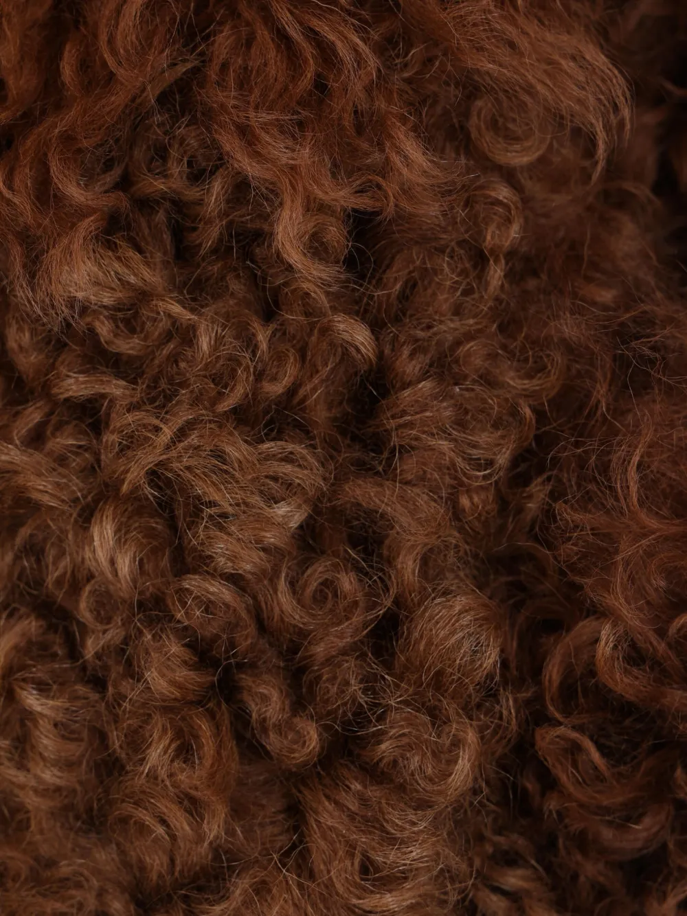 Plan C Hooded Belted Coat In Brown