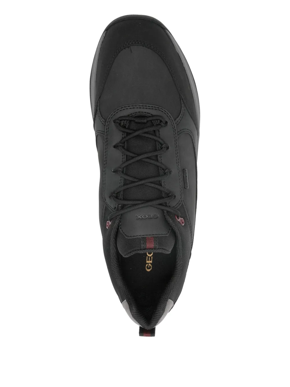 Geox Terrestre Sneakers In Black