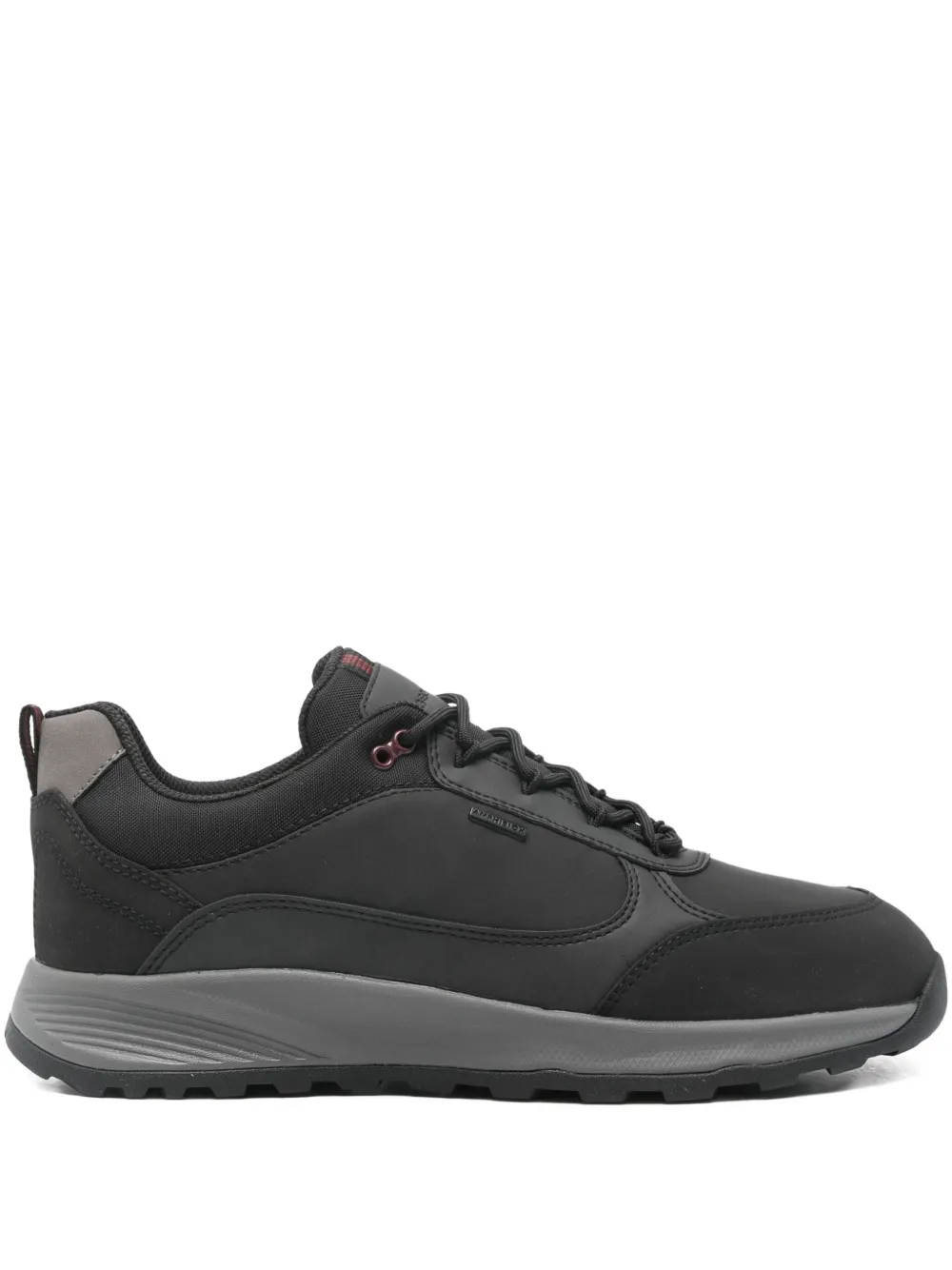 Geox Terrestre Sneakers In Black