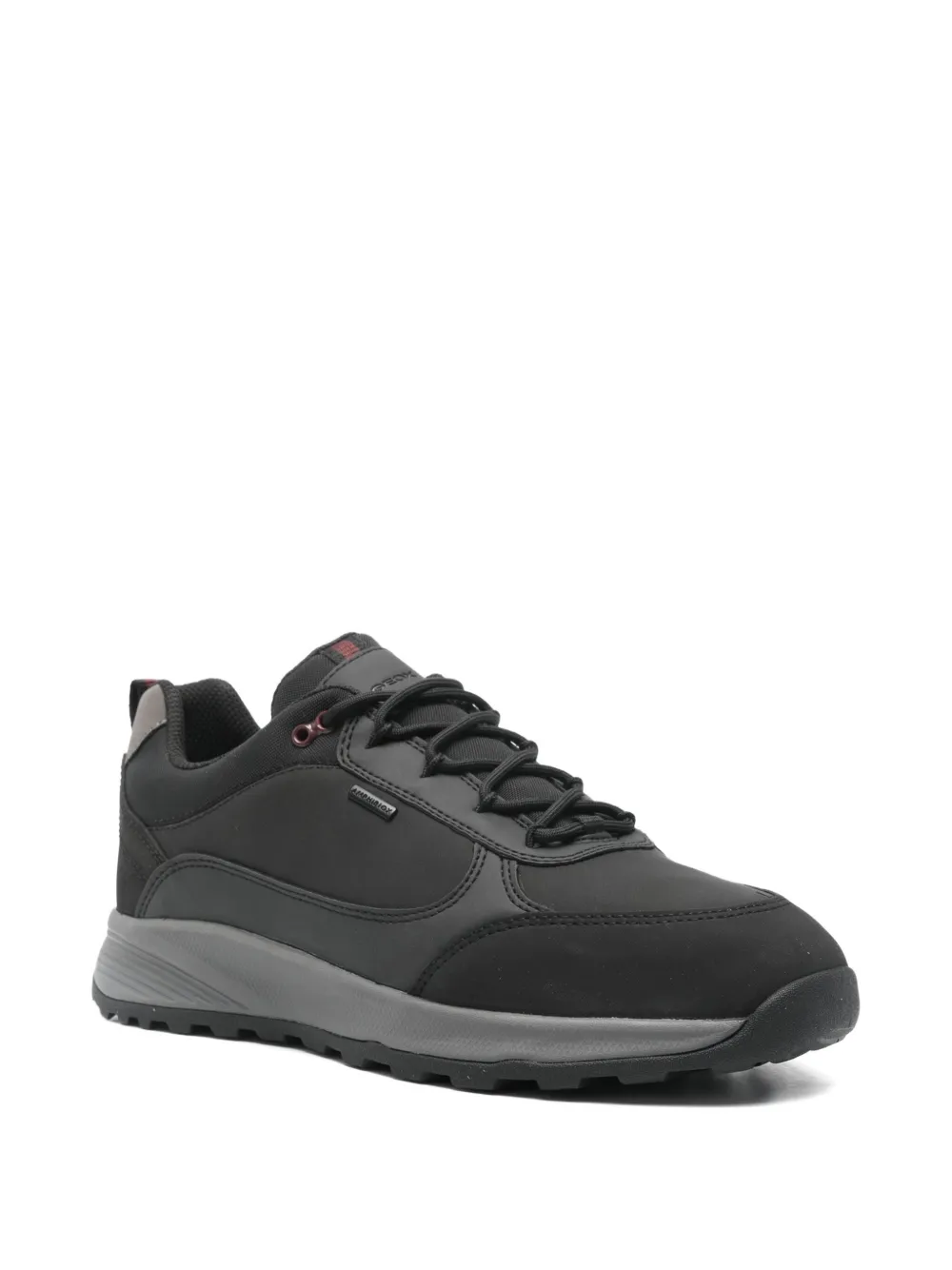 Geox Terrestre Sneakers In Black