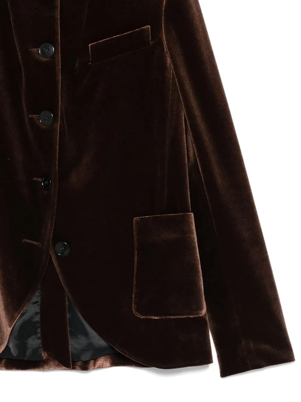Cenere Velvet Jacket In Brown