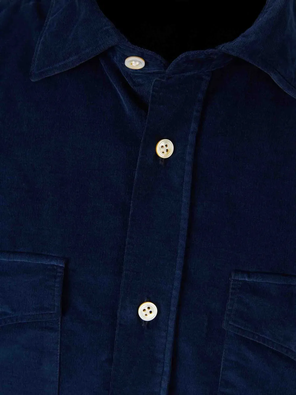 Vincenzo Di Ruggiero Buttoned Shirt In Blue