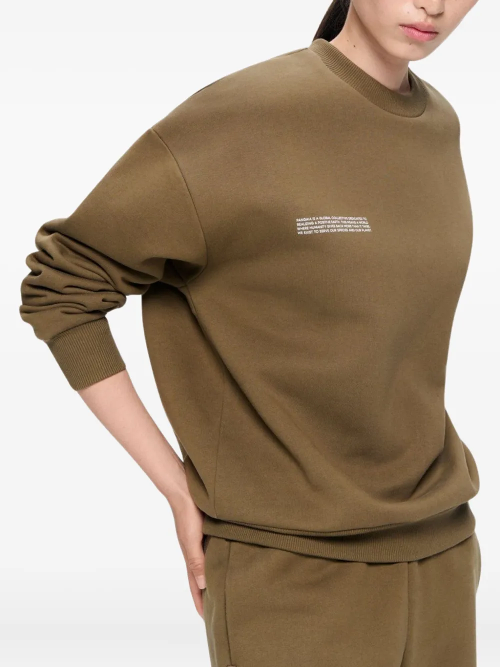 Pangaia 365 Heavyweight Sweatshirt In Brown