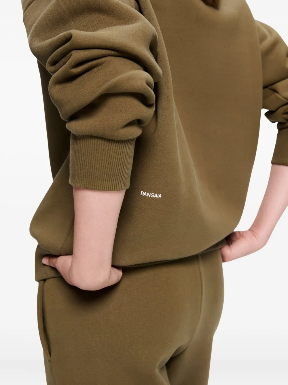 Pangaia 365 Heavyweight Sweatshirt In Brown