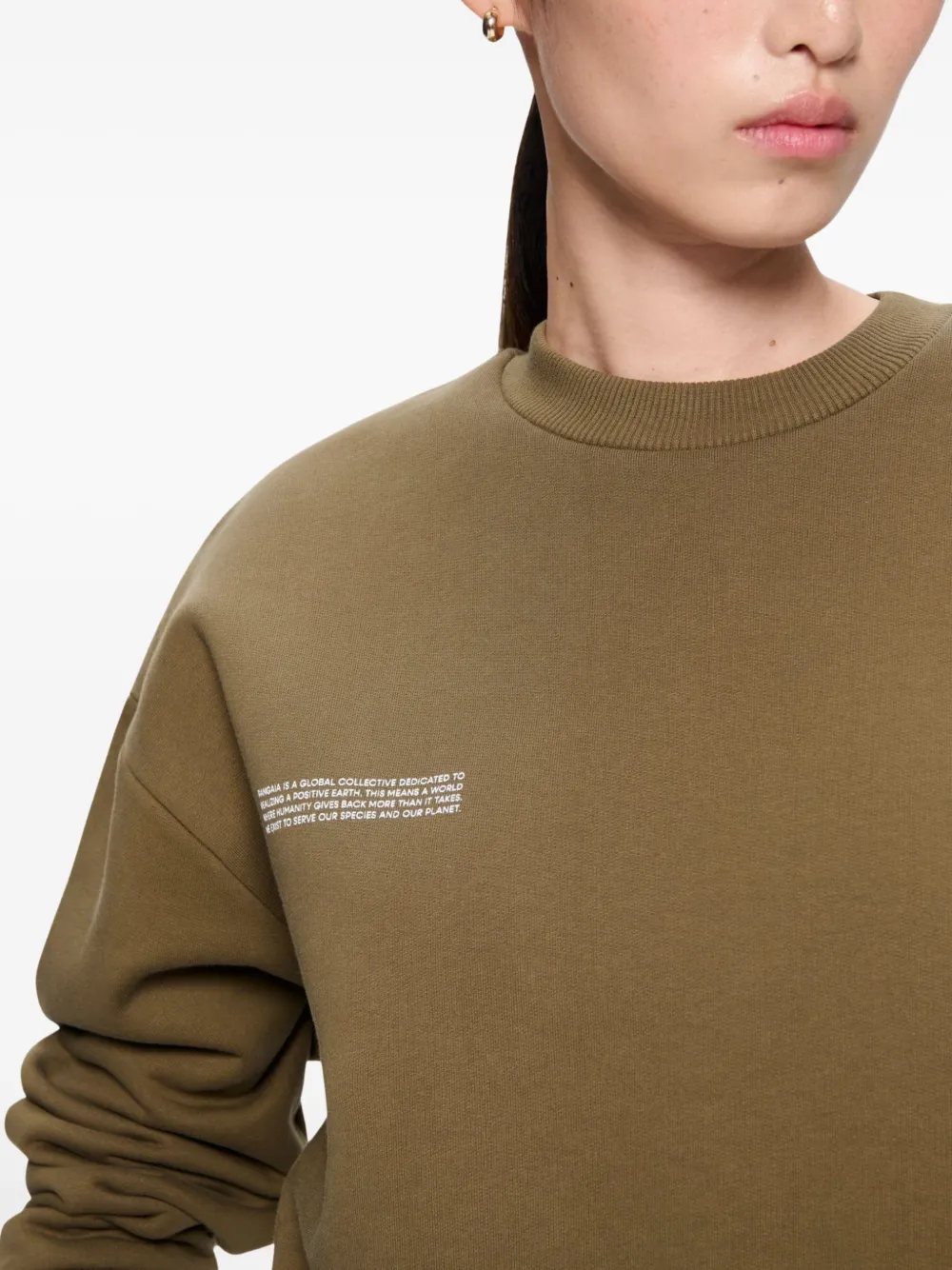 Pangaia 365 Heavyweight Sweatshirt In Brown
