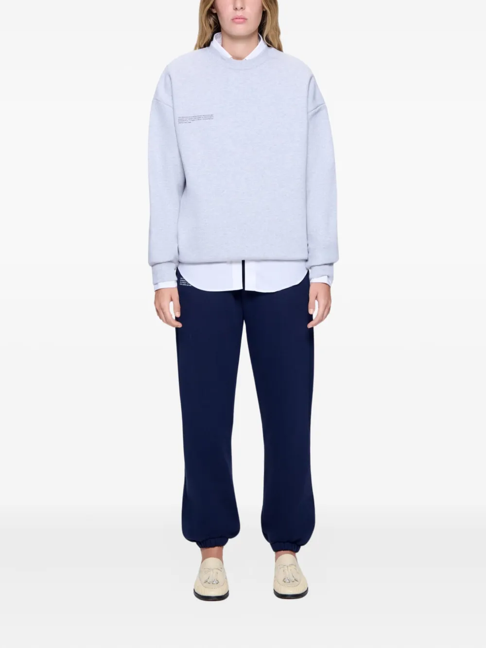 Pangaia 365 Cotton Sweatshirt In Gray
