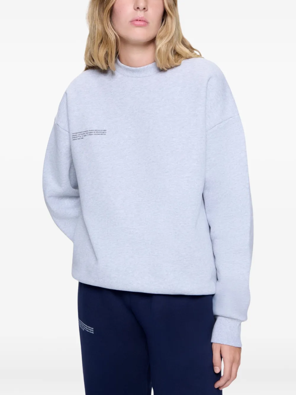 Pangaia 365 Cotton Sweatshirt In Gray