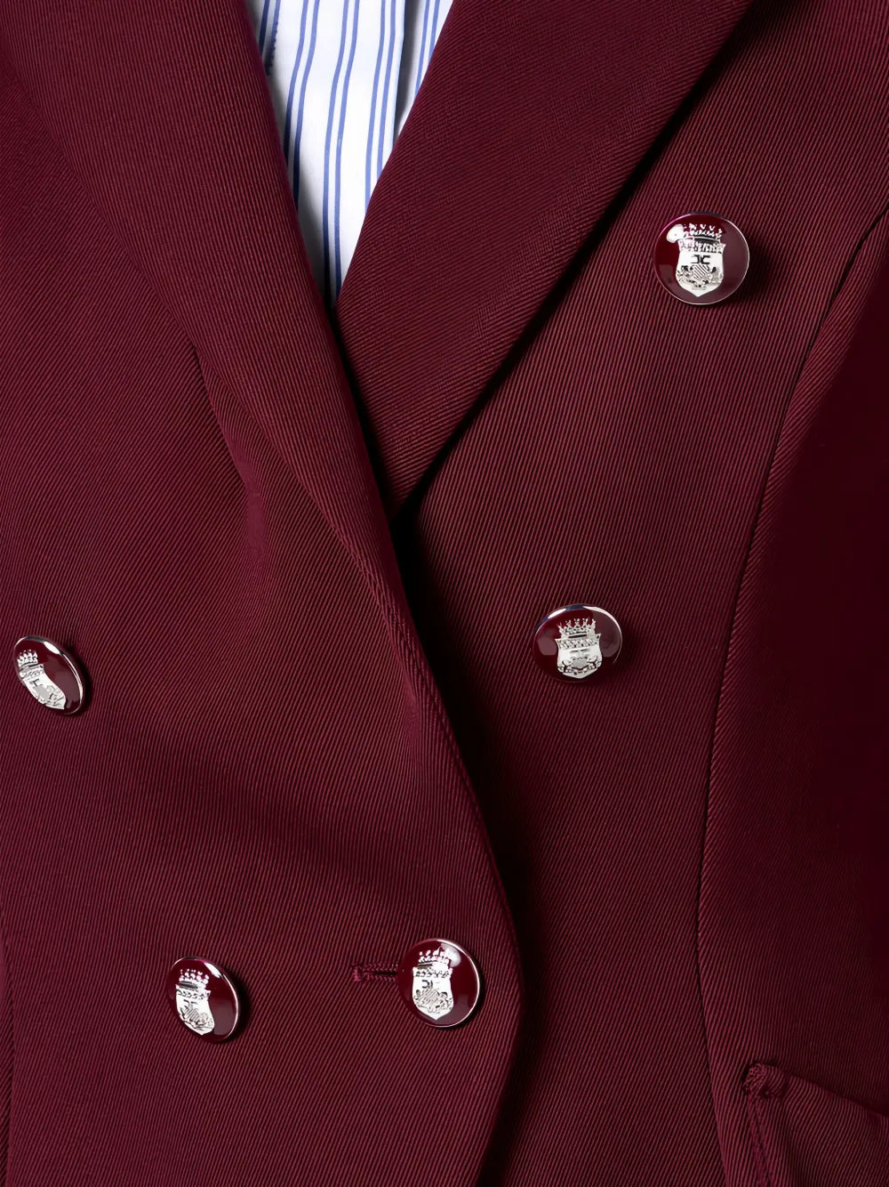 Elisabetta Franchi Double-breasted Enamelled-buttons Blazer In Burgundy