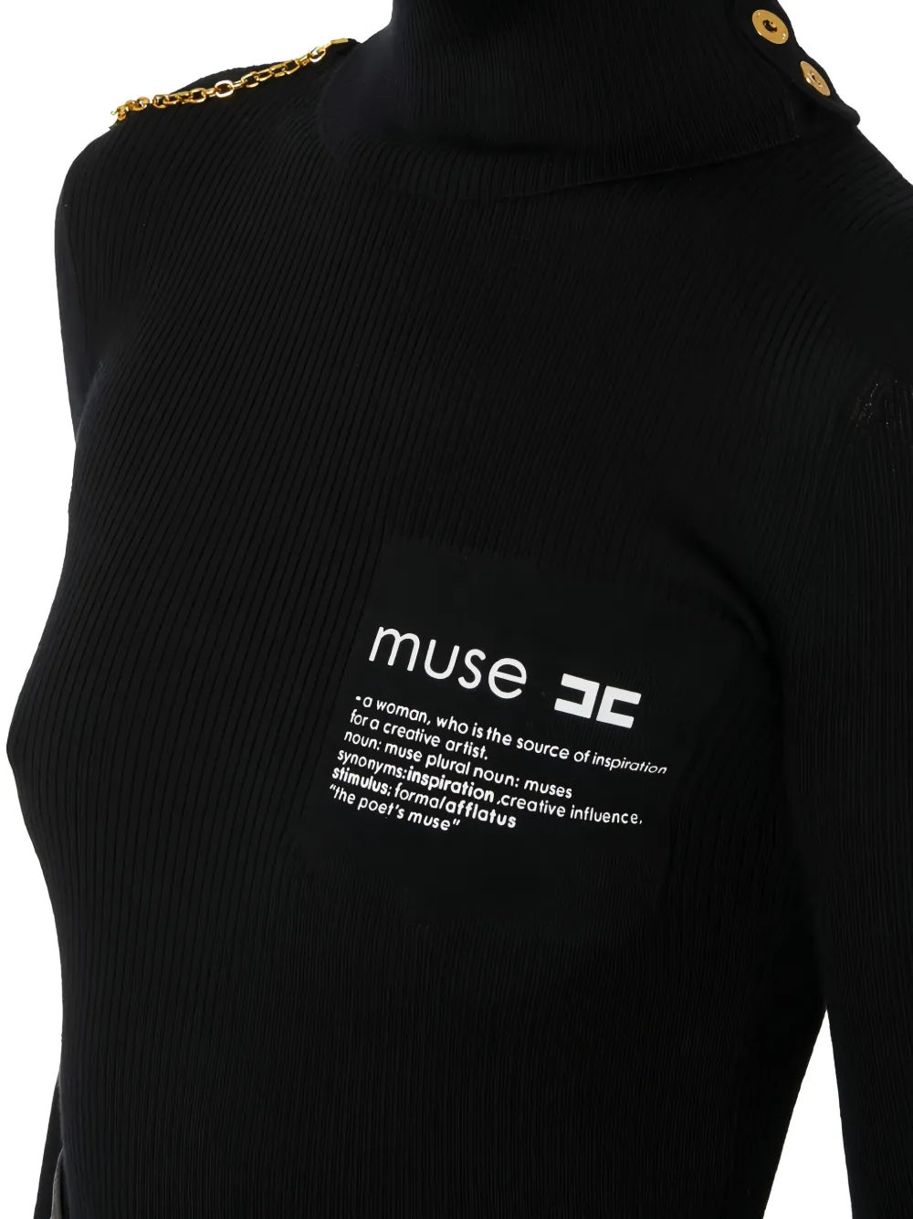Elisabetta Franchi Turtleneck Knitted Top In Black